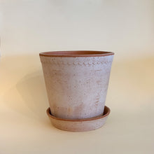 Bergs Garden Pots - Helena 8.3 In